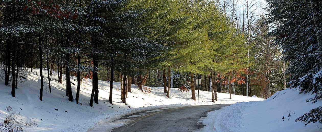 Home Queensbury Parks & Recreation