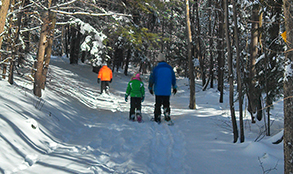 Snowshoeing & Cross Country Skiing