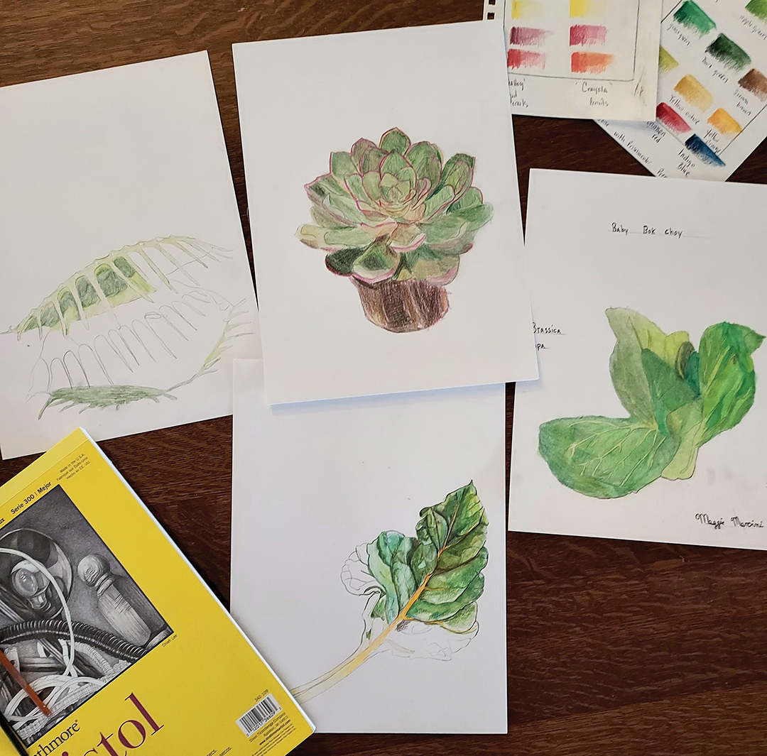 Botanical Illustration for Kids & Adults